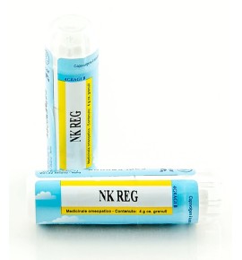NK REG GR 4G