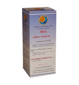 MSA RIBES NIGRUM 50ML