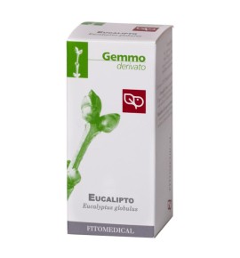 EUCALIPTO 50ML MG