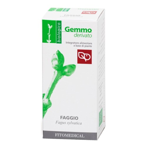 FAGGIO 50ML MG