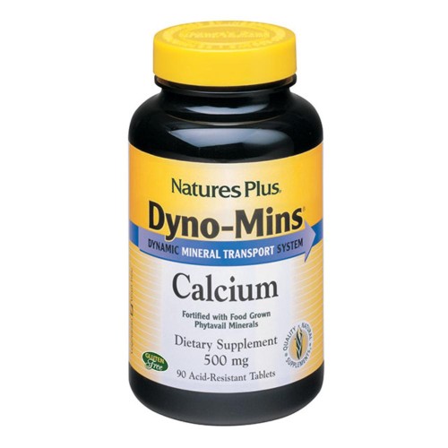 DYNO MINS CALCIO 500 MG