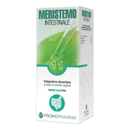 MERISTEMO YNKHAS 11 100ML