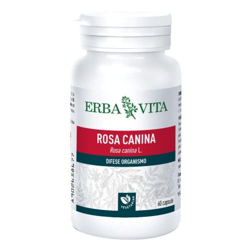 ROSA CANINA 60CPS 400MG