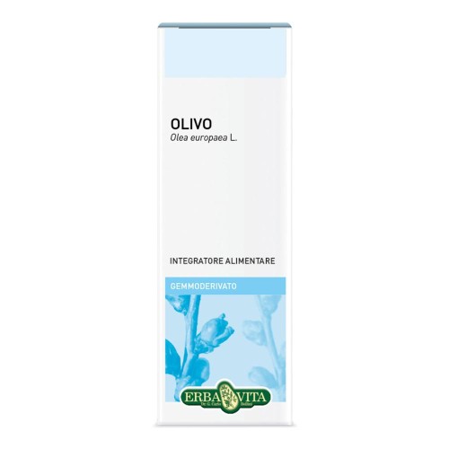 GEMMODERIVATO OLIVO 50ML