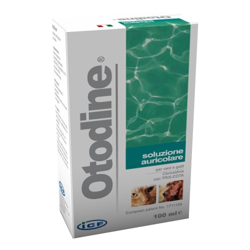 OTODINE DET LIQ 100ML