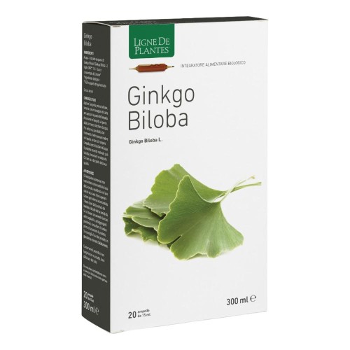 GINKGO BILOBA 20AB 15ML