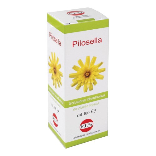 PILOSELLA SOL IAL 100ML KOS