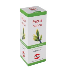 FICUS CARICA MG 100ML GTT