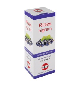 RIBES NIGRUM MG 100ML GTT