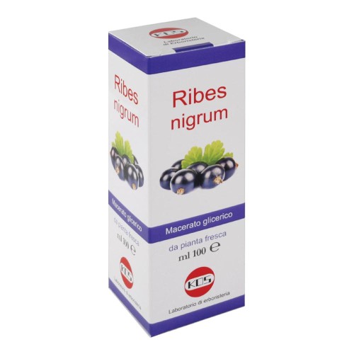 RIBES NIGRUM MG 100ML GTT