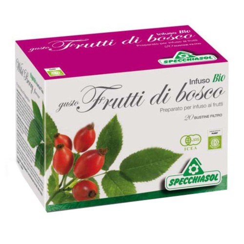 INFUSO BIO FRUTTABOSCO 20FILT