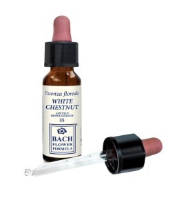 WHITE CHESTNUT ORIGINAL 10ML