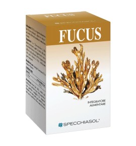 FUCUS ERBE 150TAV