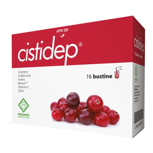 CISTIDEP 16 BUSTINE