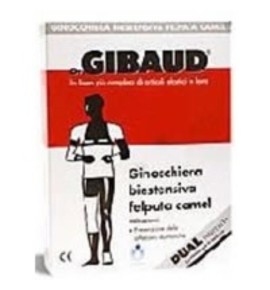 GIBAUD GINOCCH BIEST FELP CAM2