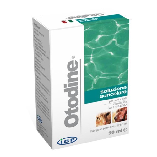 OTODINE DET LIQ 50ML