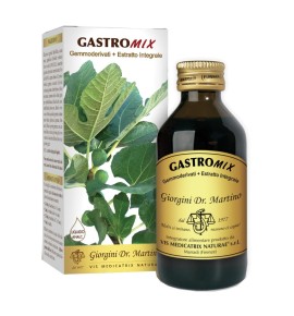 GASTROMIX LIQUIDO ANALC 100ML