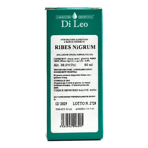 RIBES NIGRUM GEMME 50ML