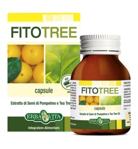 FITOTREE 60CPS