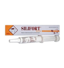 SILIFORT PASTA OS SIRINGA 30G