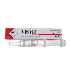 VISVIT PASTA OS SIRINGA 15G