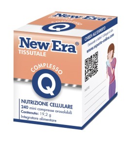 NEW ERA Q 240GR