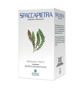 SPACCAPIETRA 50CPS