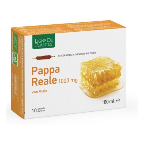 PAPPA REALE 1000MG BIO 10AB