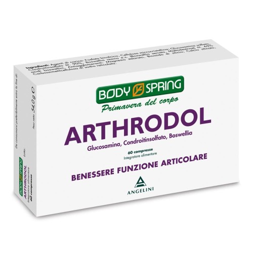 BODY SPRING ARTHRODOL 60CPR