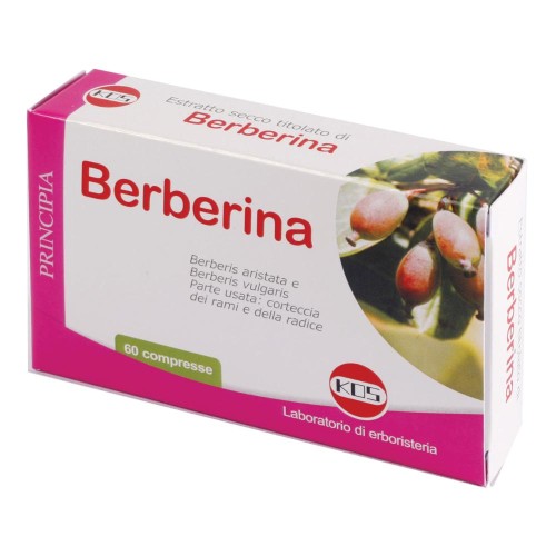 BERBERINA ESTRATTO SECCO 60CPR