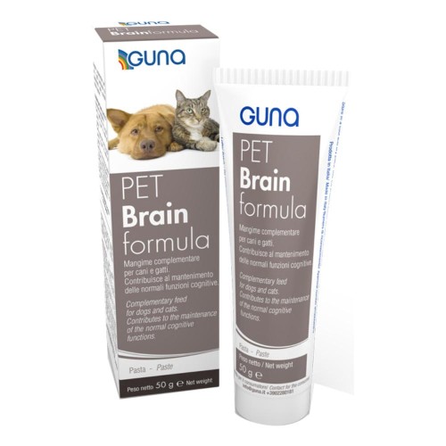 PET BRAINFORMULA 50G