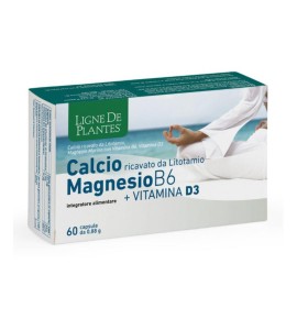 CALCIO MAGNESIO B6+VITD3 60CPS