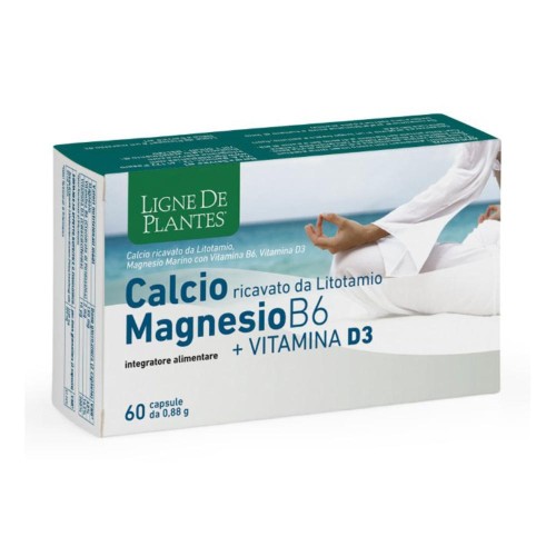 CALCIO MAGNESIO B6+VITD3 60CPS