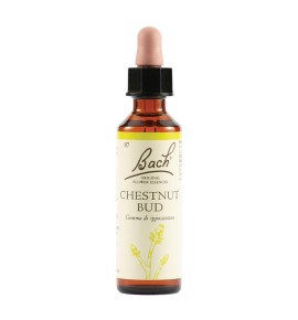 BACH CHESTNUT BUD ORIG 20ML