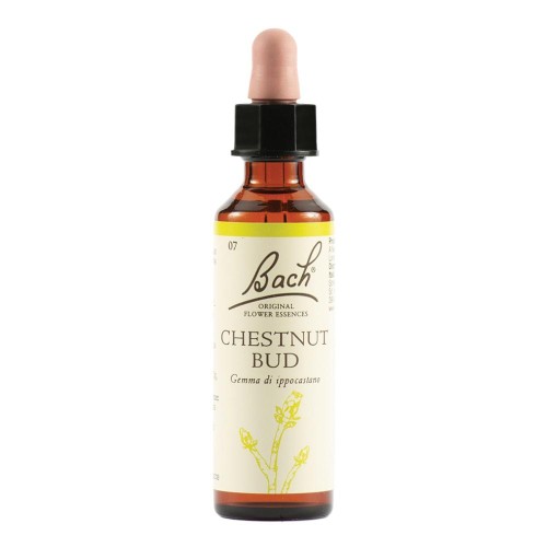 BACH CHESTNUT BUD ORIG 20ML