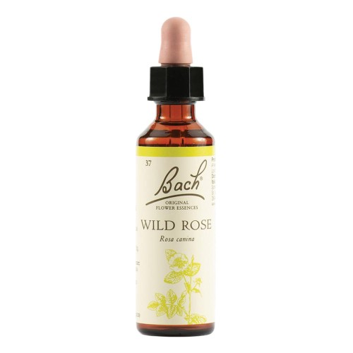 WILD ROSE BACH ORIG 20ML