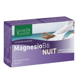 MAGNESIO B-6 NUIT 60CPS