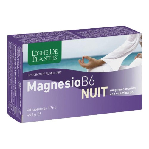 MAGNESIO B-6 NUIT 60CPS