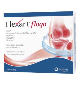 FLEXART FLOGO 14BUST