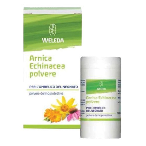 ARNICA ECHINACEA POLVERE 20G