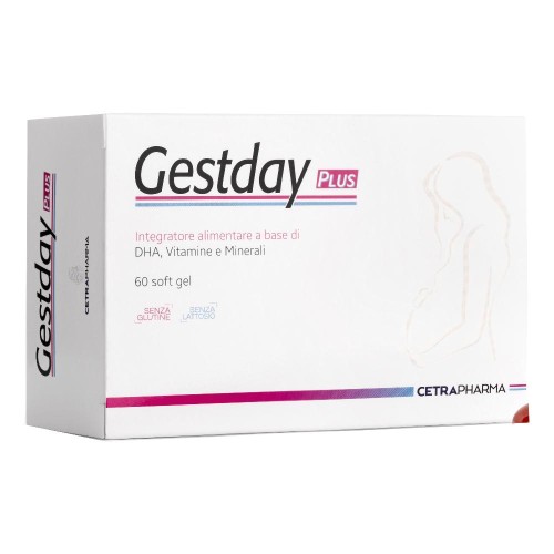 GESTDAY PLUS 60SOFT GEL 0,73G