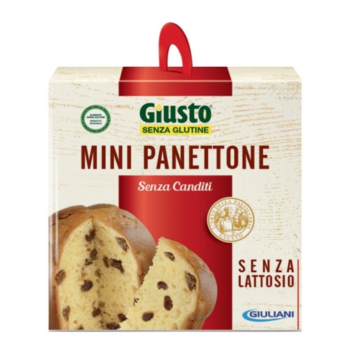 GIUSTO S/G PANETTONE CLASS100G