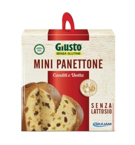 GIUSTO S/G PANETTON UV/CAN100G