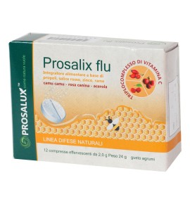 PROSALIX FLU 12CPR EFFERV