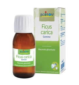 FICUS CARICA MG 60ML INT