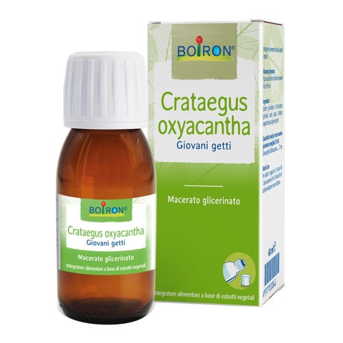 CRATAEGUS OXY MG 60ML INT