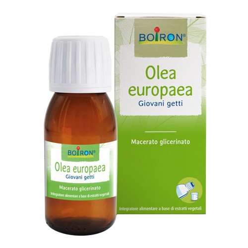 OLEA EUROPAEA MG 60ML INT BO