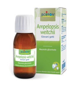 AMPELOPSIS WEI MG 60ML INT BO