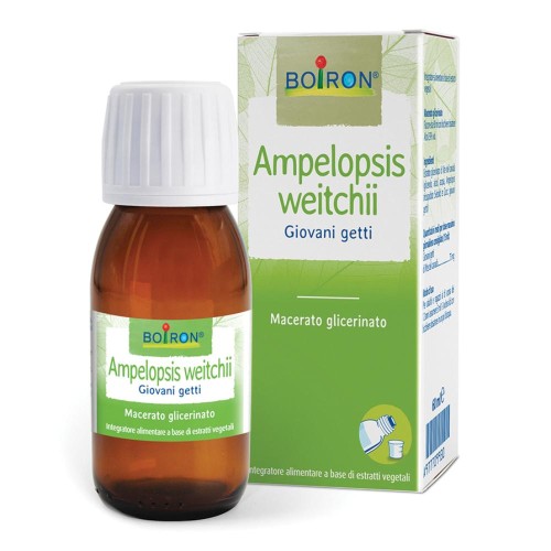 AMPELOPSIS WEI MG 60ML INT BO