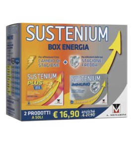 SUSTENIUM BOX ENERGIA 2019